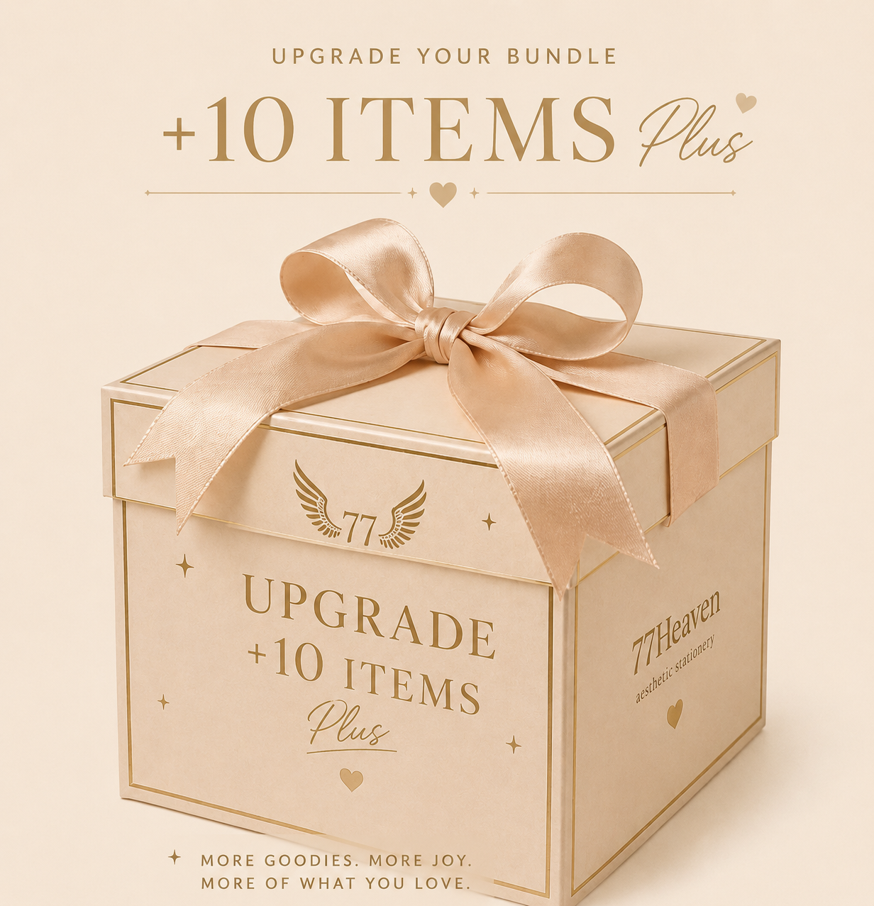 Upgrade – Add 10 Extra Items